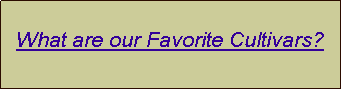 Text Box: What are our Favorite Cultivars?